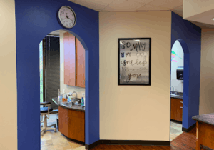 Bluebonnet Dental